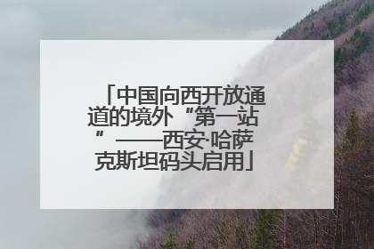 中国向西开放通道的境外“第一站”——西安·哈萨克斯坦码头启用