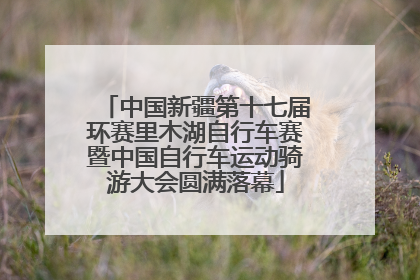 中国新疆第十七届环赛里木湖自行车赛暨中国自行车运动骑游大会圆满落幕