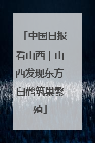 中国日报看山西｜山西发现东方白鹳筑巢繁殖
