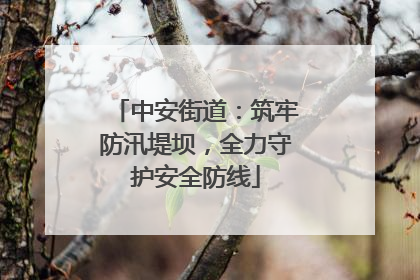 中安街道：筑牢防汛堤坝，全力守护安全防线
