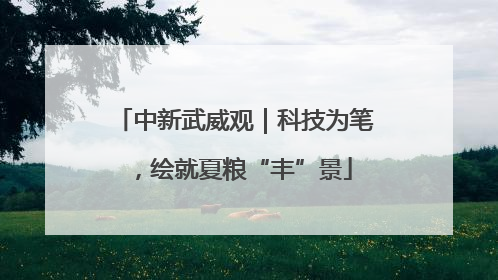 中新武威观｜科技为笔，绘就夏粮“丰”景