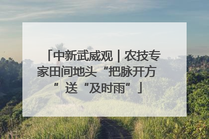 中新武威观｜农技专家田间地头“把脉开方”送“及时雨”