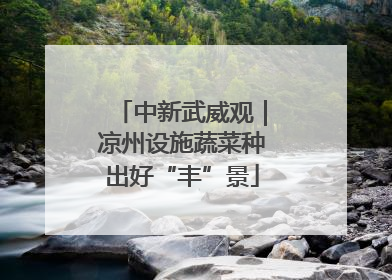 中新武威观｜凉州设施蔬菜种出好“丰”景