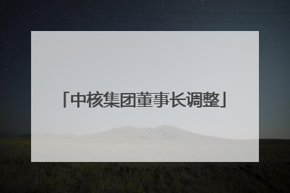 中核集团董事长调整