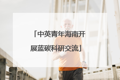 中英青年海南开展蓝碳科研交流