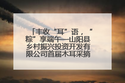 丰收“耳”语，“粽”享端午—山阳县乡村振兴投资开发有限公司首届木耳采摘活动盛大启幕