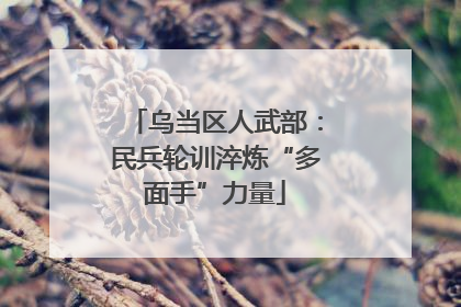 乌当区人武部：民兵轮训淬炼“多面手”力量
