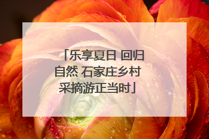 乐享夏日 回归自然 石家庄乡村采摘游正当时