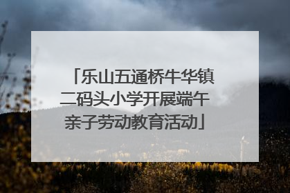 乐山五通桥牛华镇二码头小学开展端午亲子劳动教育活动