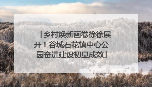 乡村焕新画卷徐徐展开！谷城石花镇中心公园奋进建设初显成效