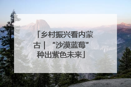 乡村振兴看内蒙古｜“沙漠蓝莓”种出紫色未来