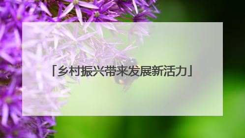 乡村振兴带来发展新活力
