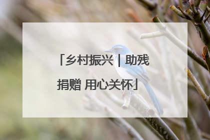 乡村振兴｜助残捐赠 用心关怀