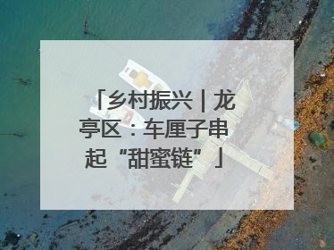 乡村振兴｜龙亭区：车厘子串起“甜蜜链”