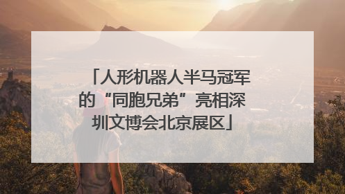 人形机器人半马冠军的“同胞兄弟”亮相深圳文博会北京展区