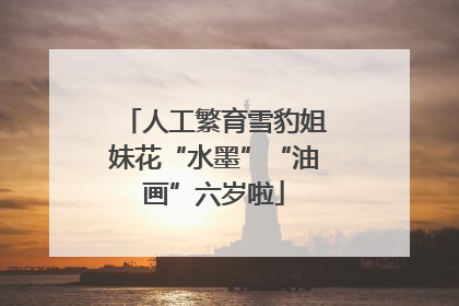 人工繁育雪豹姐妹花“水墨”“油画”六岁啦