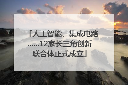 人工智能、集成电路……12家长三角创新联合体正式成立