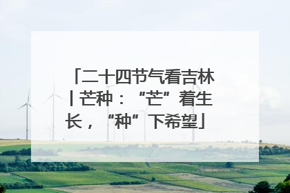 二十四节气看吉林丨芒种：“芒”着生长，“种”下希望