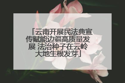 云南开展民法典宣传赋能边疆高质量发展 法治种子在云岭大地生根发芽