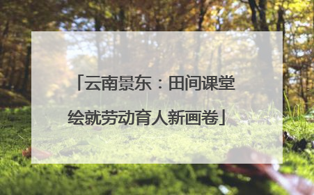 云南景东：田间课堂绘就劳动育人新画卷
