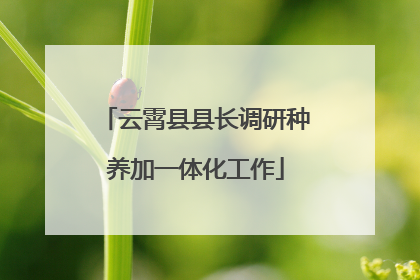云霄县县长调研种养加一体化工作