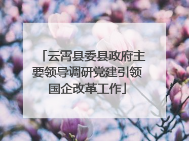 云霄县委县政府主要领导调研党建引领国企改革工作