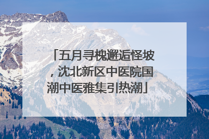 五月寻槐邂逅怪坡，沈北新区中医院国潮中医雅集引热潮