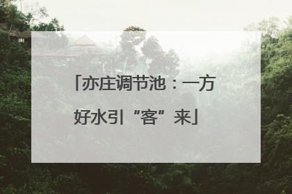 亦庄调节池：一方好水引“客”来