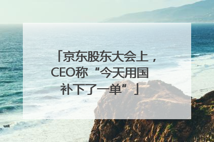 京东股东大会上，CEO称“今天用国补下了一单”