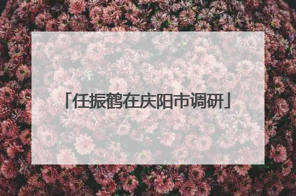 任振鹤在庆阳市调研