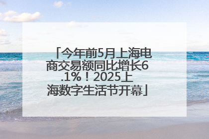 今年前5月上海电商交易额同比增长6.1%！2025上海数字生活节开幕