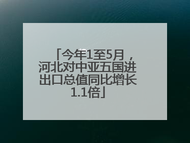 今年1至5月，河北对中亚五国进出口总值同比增长1.1倍