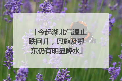 今起湖北气温止跌回升，恩施及鄂东仍有明显降水