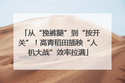从“挽裤腿”到“按开关”！高青稻田插秧“人机大战”效率拉满