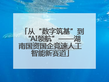 从“数字筑基”到“AI领航”——湖南国资国企竞速人工智能新赛道