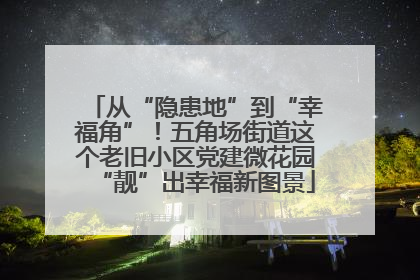 从“隐患地”到“幸福角”！五角场街道这个老旧小区党建微花园“靓”出幸福新图景