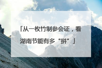 从一枚竹制参会证，看湖南节能有多“拼”