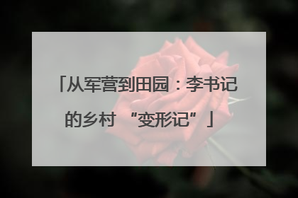 从军营到田园：李书记的乡村 “变形记”