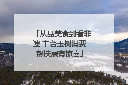 从品美食到看非遗 丰台玉树消费帮扶展有惊喜