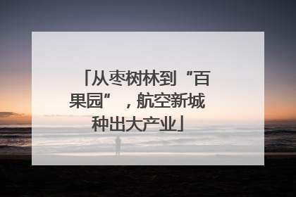 从枣树林到“百果园”，航空新城种出大产业