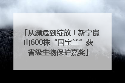 从濒危到绽放！新宁崀山600株“国宝兰”获省级生物保护嘉奖
