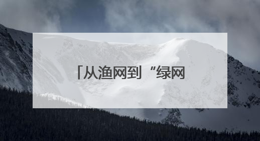 从渔网到“绿网”，蔡甸桐湖网住绿色生态经济