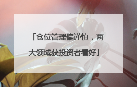 仓位管理偏谨慎，两大领域获投资者看好