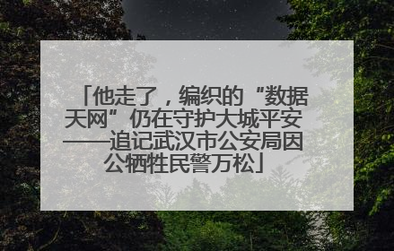 他走了，编织的“数据天网”仍在守护大城平安——追记武汉市公安局因公牺牲民警万松
