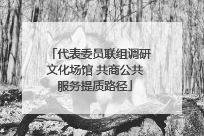 代表委员联组调研文化场馆 共商公共服务提质路径