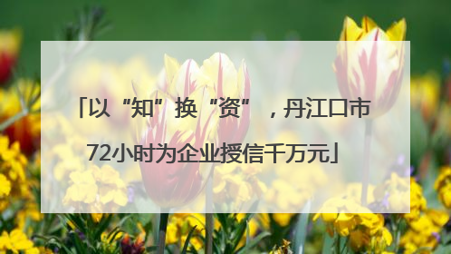 以“知”换“资”，丹江口市72小时为企业授信千万元