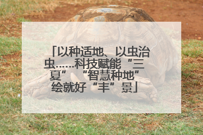 以种适地、以虫治虫……科技赋能“三夏” “智慧种地”绘就好“丰”景