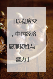 以稳应变，中国经济展现韧性与潜力