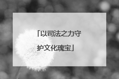 以司法之力守护文化瑰宝