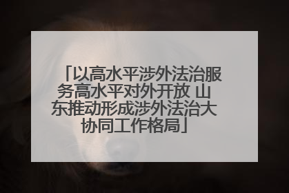 以高水平涉外法治服务高水平对外开放 山东推动形成涉外法治大协同工作格局